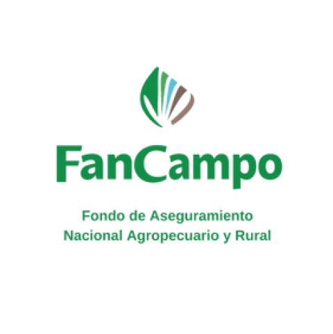 Fimega Logo