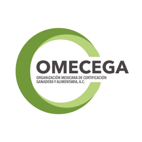 Fimega Logo
