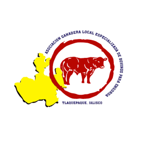 Fimega Logo