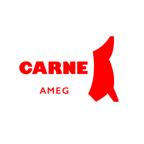 Fimega Logo