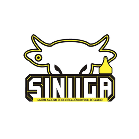 Fimega Logo